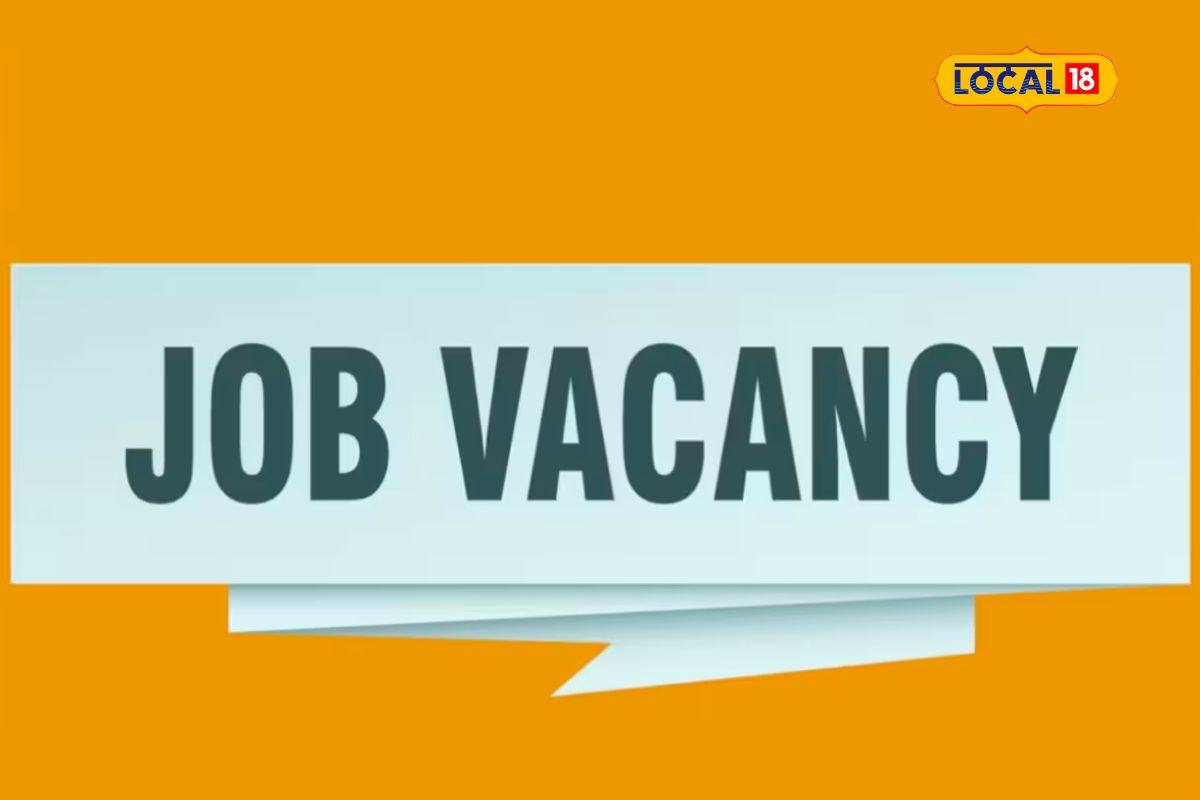 कल्याण-डोंबिवली महापालिकेत नोकरीची संधी, 'या' पदासाठी करा अर्ज