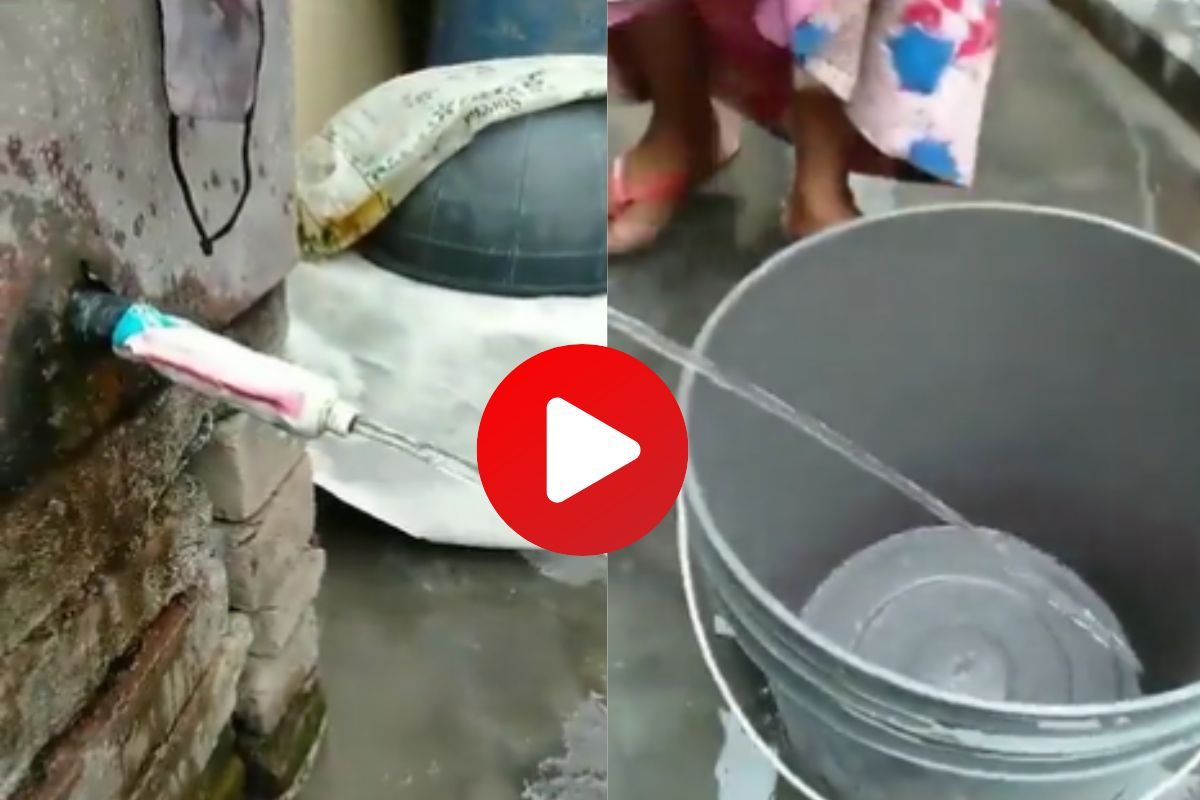 व्हायरल व्हिडीओ