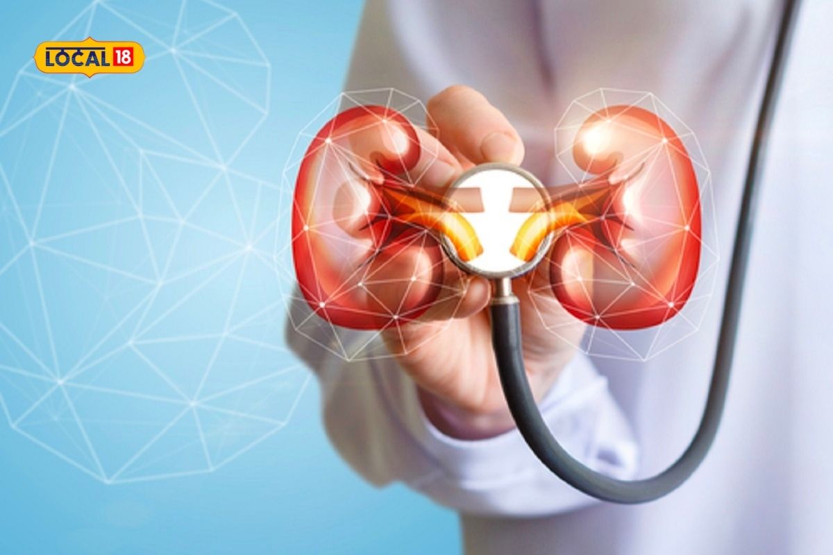 Pune News : किडनी फेल झाल्यावर कशी ओळखालं? काय आहेत लक्षणं?