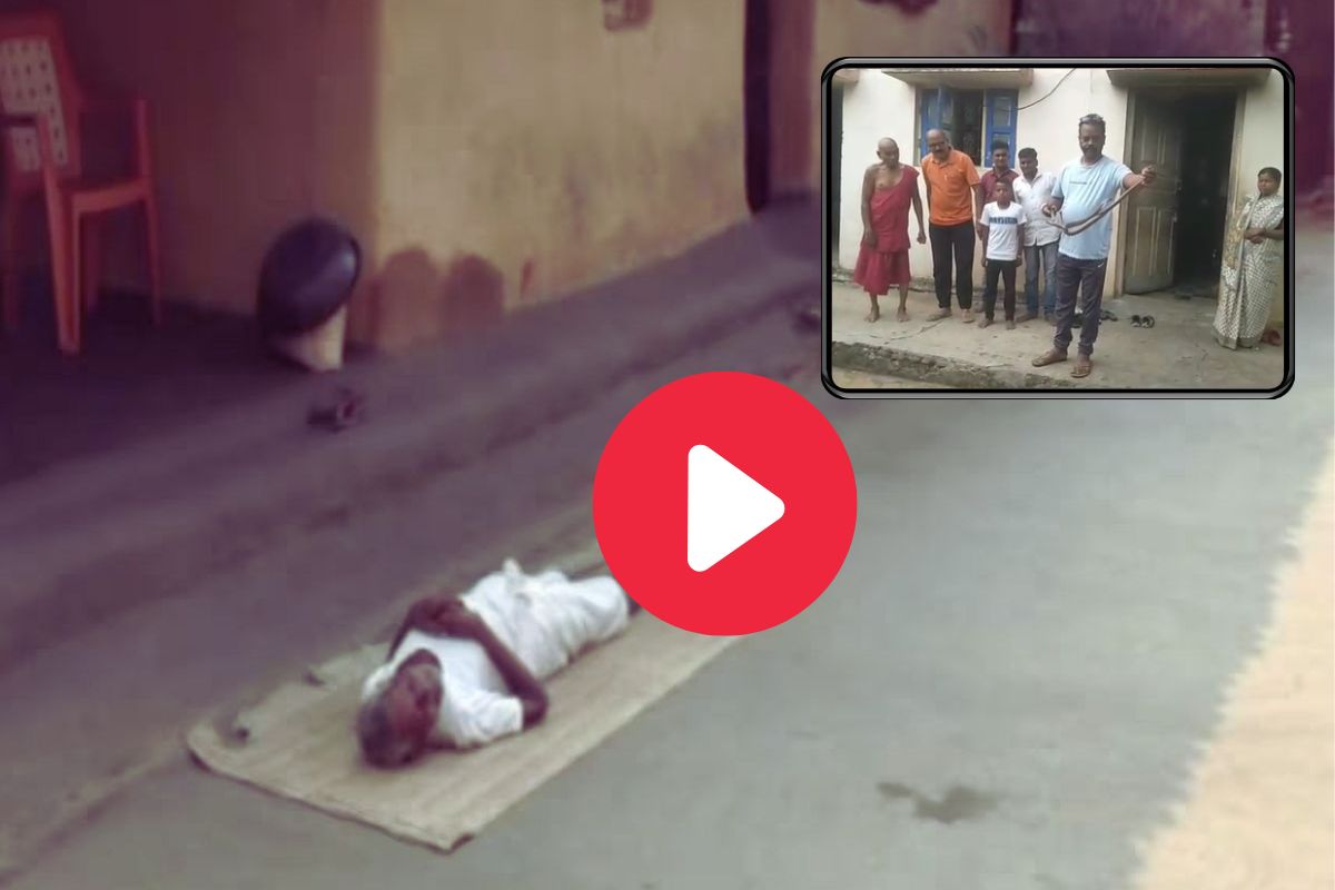 घरातील झोपलेल्या व्यक्तीच्या अंगावर सरपटू लागला कोब्रा