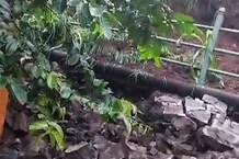 …अन्यथा निरपराध लोकांचे प्राण घेण्यास तुम्हीच जबाबदार असाल, अभ्यासकांचा इशारा