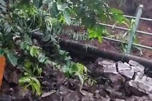 …अन्यथा निरपराध लोकांचे प्राण घेण्यास तुम्हीच जबाबदार असाल, अभ्यासकांचा इशारा