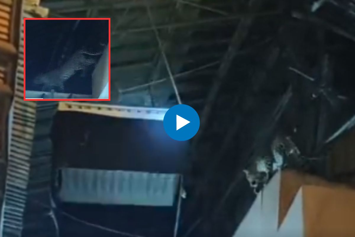 गोरेगाव फिल्मसिटीत बिबट्याचा हल्ला