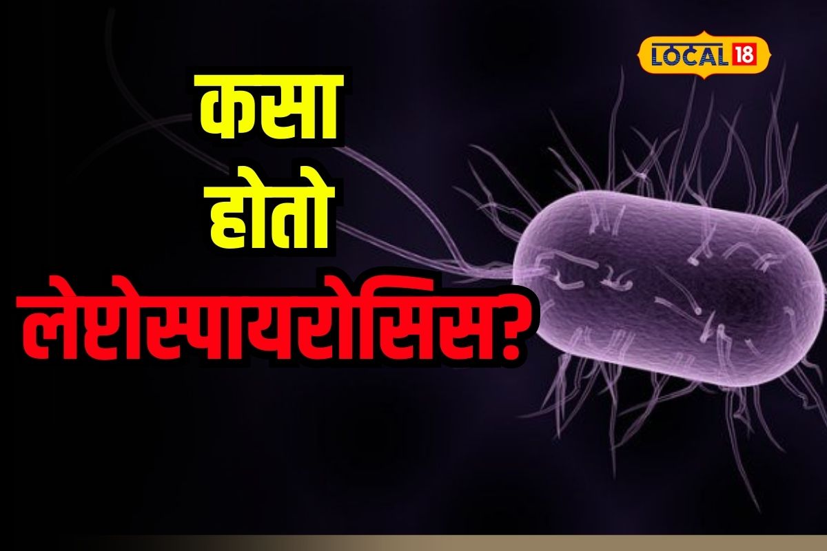 Mumbai News : मुंबईकरांमध्ये धडकी भरवणारा लेप्टोरियस कसा होतो? तो टाळण्यासाठी काय घ्याल खबरदारी?