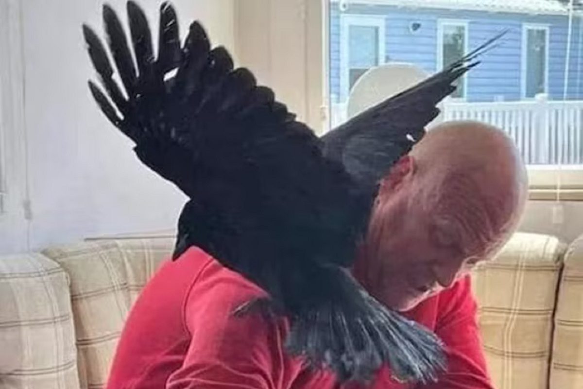 कावळ्याच्या प्रेमात व्यक्ती