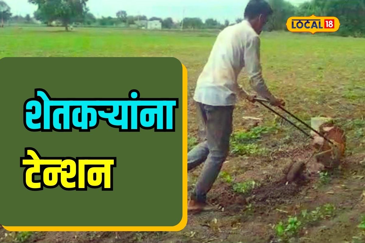 राज्यात एकीकडे मुसळधार पाऊस, पण मराठवाड्यात भयावह परिस्थिती, Video