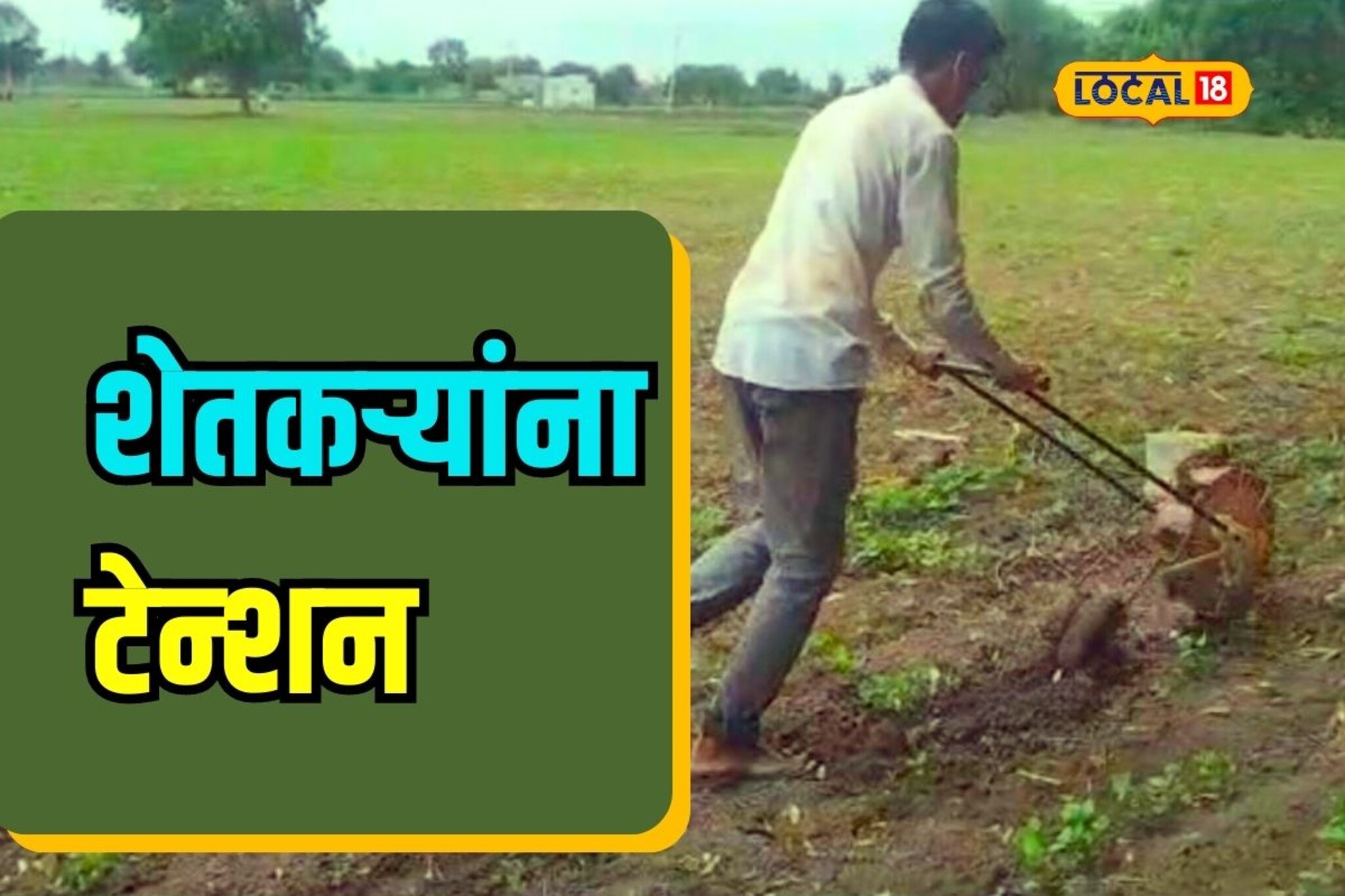 राज्यात एकीकडे मुसळधार पाऊस, पण मराठवाड्यात भयावह परिस्थिती, Video