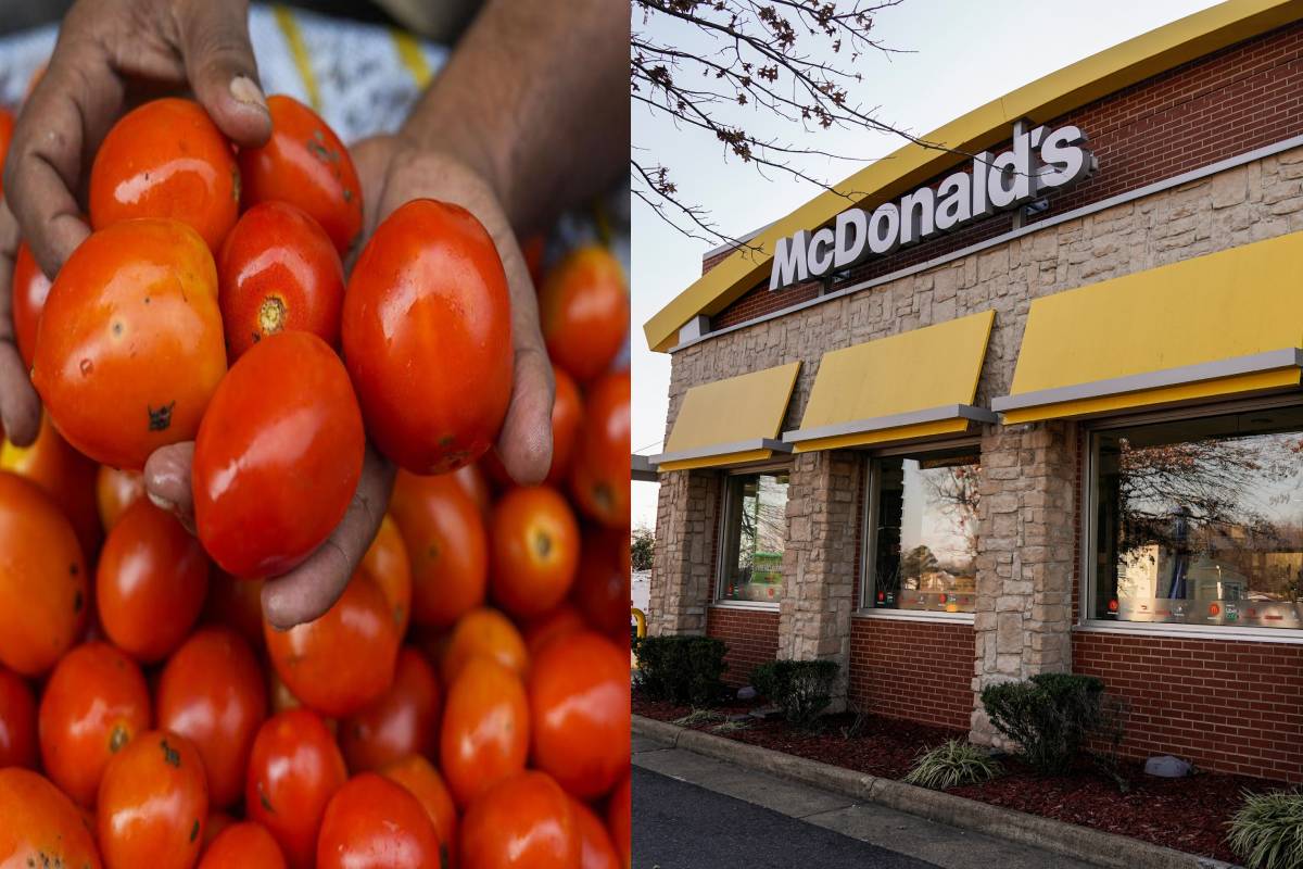 टोमॅटोच्या महागाईचा 'मॅक्डोनाल्ड्स' लाही फटका, मेनूमधून टोमॅटो गायब