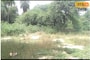 एक रहस्यमयी जंगल, जेथील झाडांचे लाकूड मानले जाते अशुभ