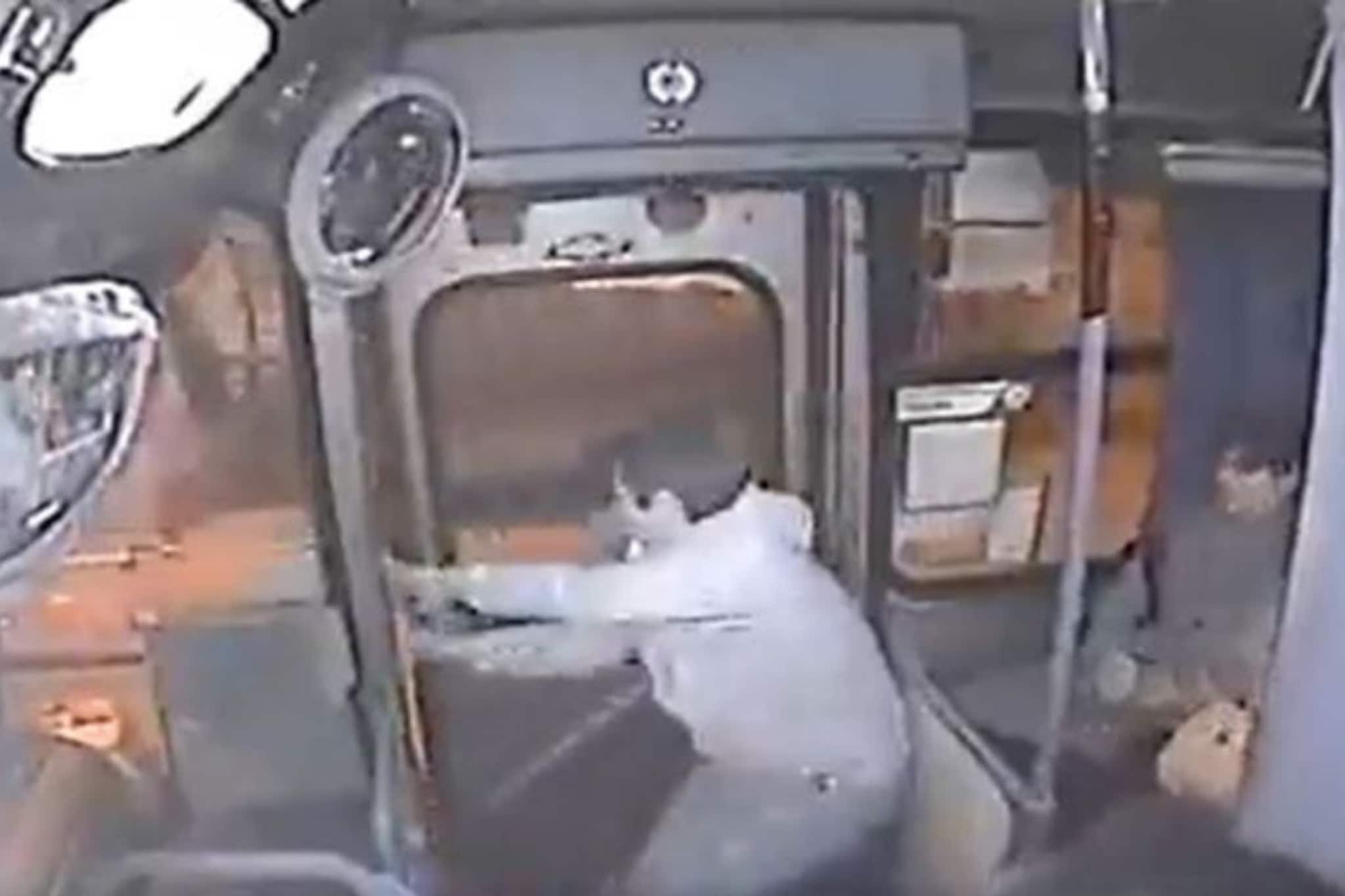 VIDEO: पर्स चोरून पळण्याच्या प्रयत्नात होता; इतक्यात बसचे दरवाजे बंद झाले अन्..