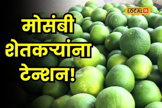 Agriculture News : मोसंबी शेतकऱ्यांच्या तोंडचं पाणी पळालं, पाहा बाजारावर काय होणार परिणाम?