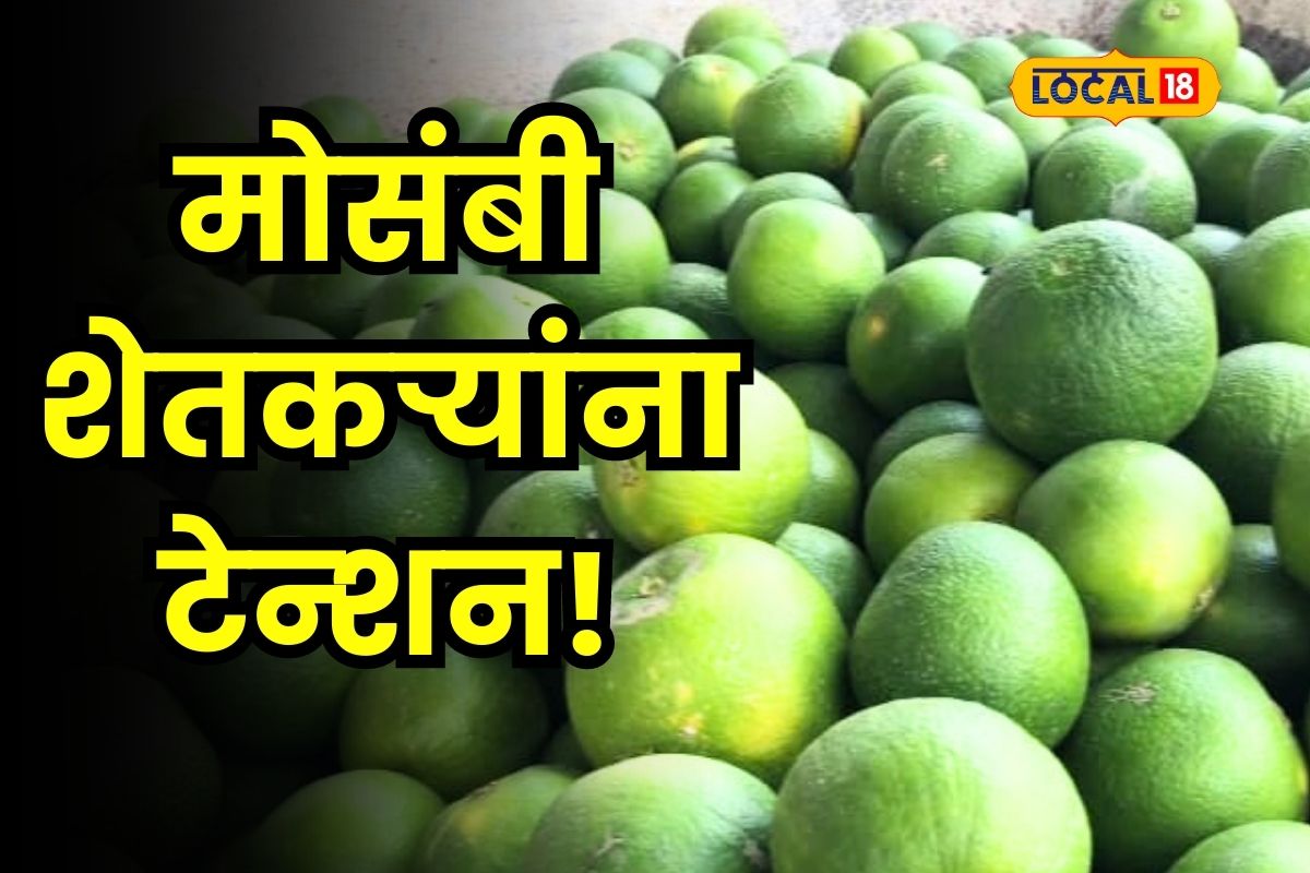 Agriculture News : मोसंबी शेतकऱ्यांच्या तोंडचं पाणी पळालं, पाहा बाजारावर काय होणार परिणाम?