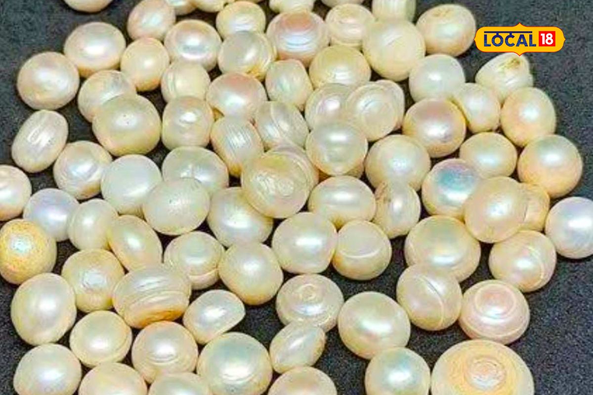 विद्यार्थ्यांसाठी 'हे' रत्न फायदेशीर आहे.