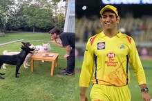 धोनीचा अनोखा अंदाज, फॉर्म हाऊसवर खास दोस्तांसोबत कापला केक, VIDEO