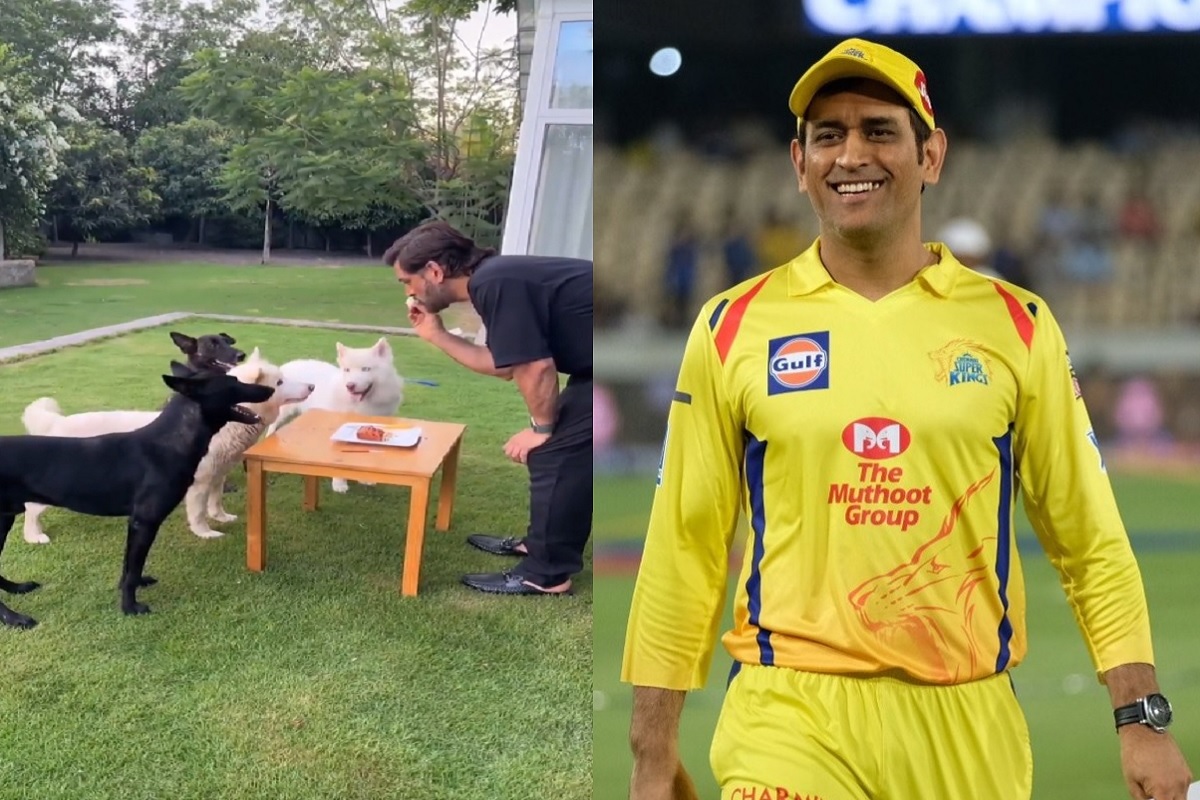 धोनीचा अनोखा अंदाज, फॉर्म हाऊसवर खास दोस्तांसोबत कापला केक, VIDEO