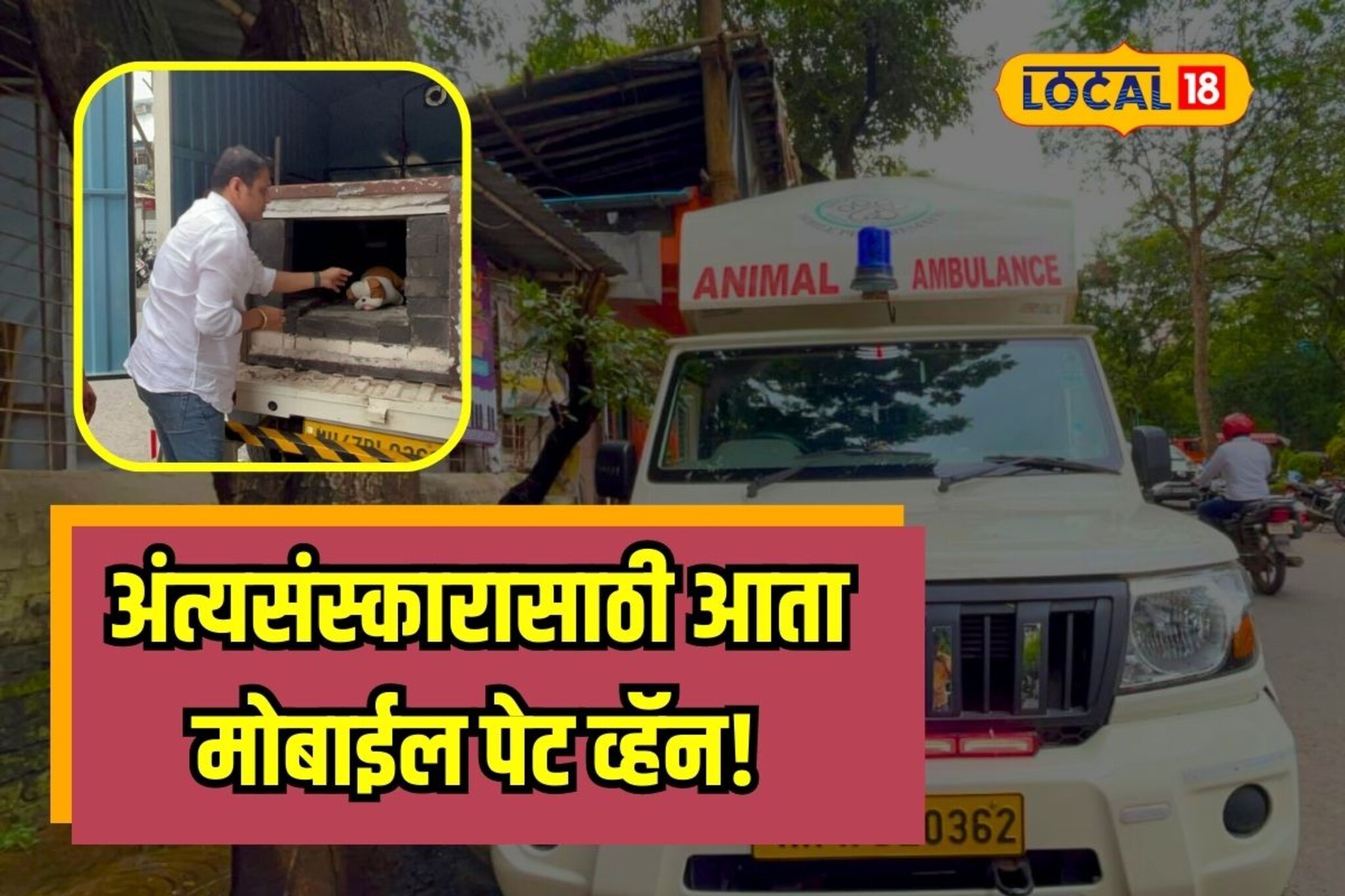 पाळीव प्राण्यांच्या अंत्यसंस्कारासाठी आता मोबाईल पेट व्हॅन, पाहा कशी करते काम