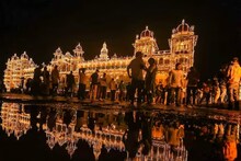 हत्तिणींची प्रेग्नन्सी टेस्टही होणार, म्हैसूर दसरा सोहळ्यातील सहभागी हत्तींची...
