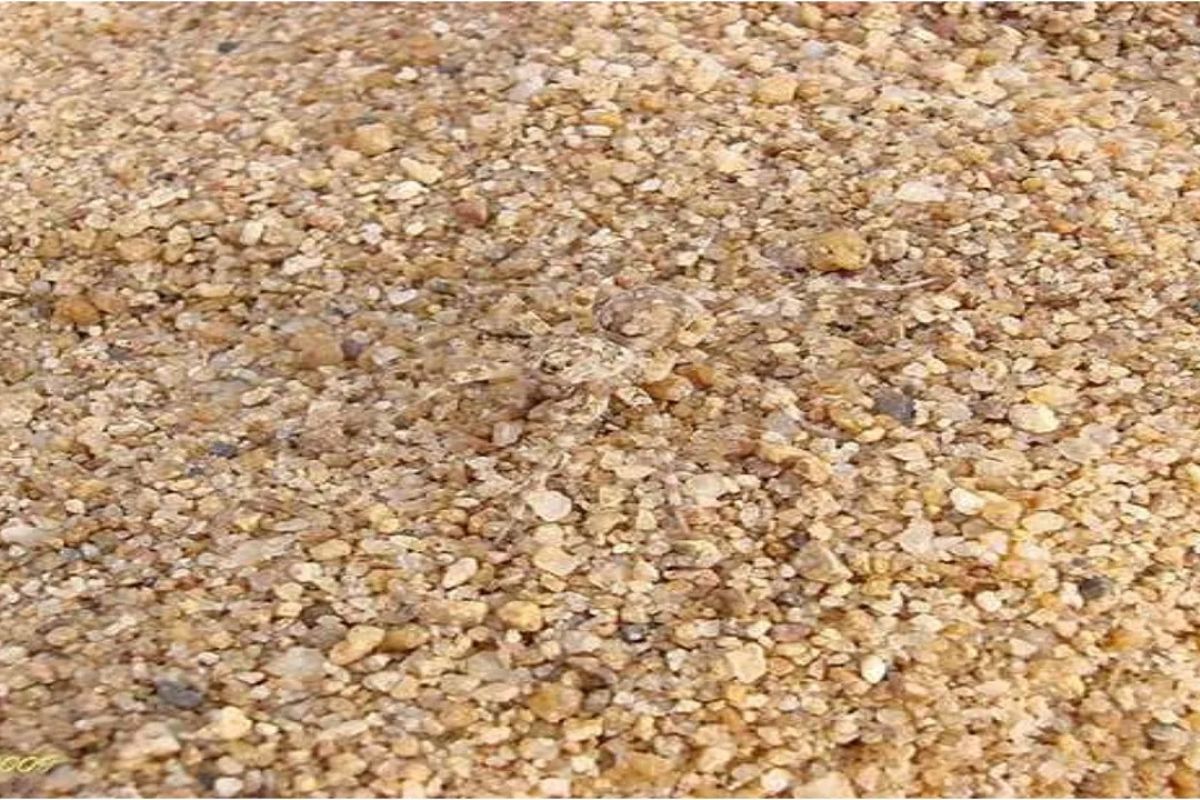 सोर्स : सोशल मीडिया