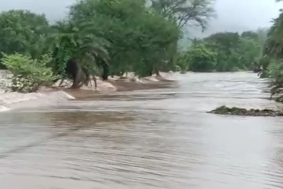 पालघर जिल्ह्यात अतिमुसळधार पाऊस