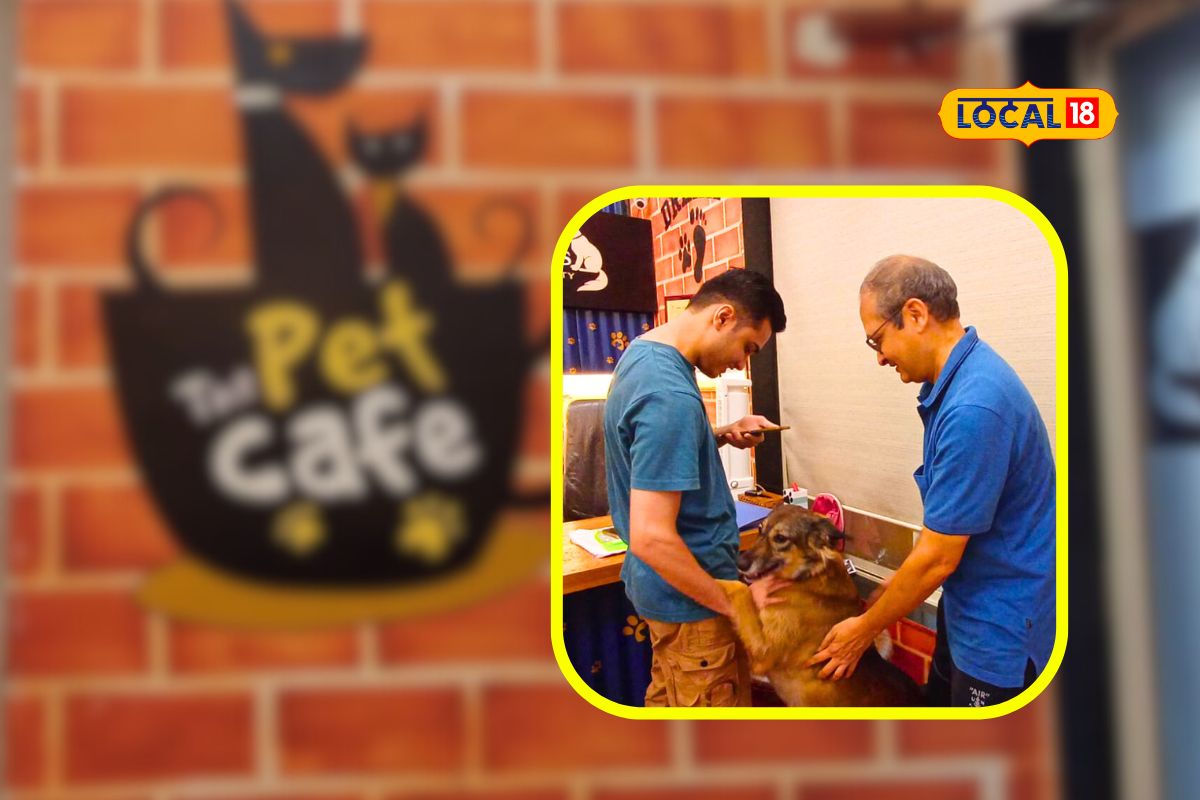 Dombivli News : कुत्र्यांसोबत खेळायला आवडतंय? डोंबिवलीतील ‘या’ कॅफेत घ्या मनमुराद आनंद, Video