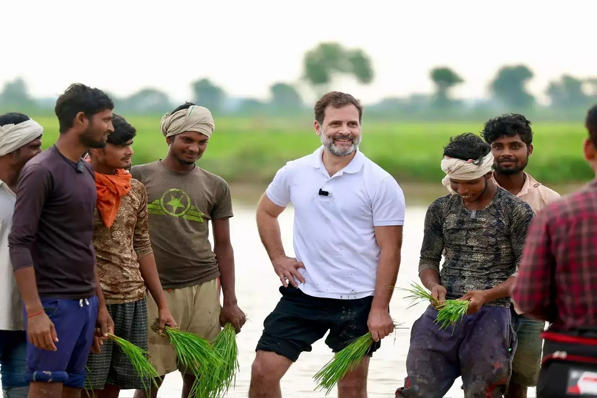 राहुल गांधी शेतात राबले, शेतकऱ्यांनी घरून आणलं जेवण; असा होता मेन्यू