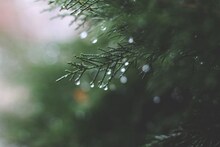 Weather Update : राज्यात पावसाचा जोर कमी होणार; या 3 जिल्ह्यांमध्येच आज मुसळधार