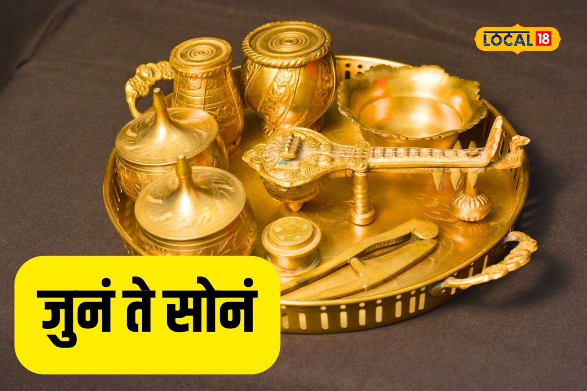 डॉक्टर महिलेचा अनोखा छंद, घरच बनलं वस्तू संग्रहालय, पाहा Video