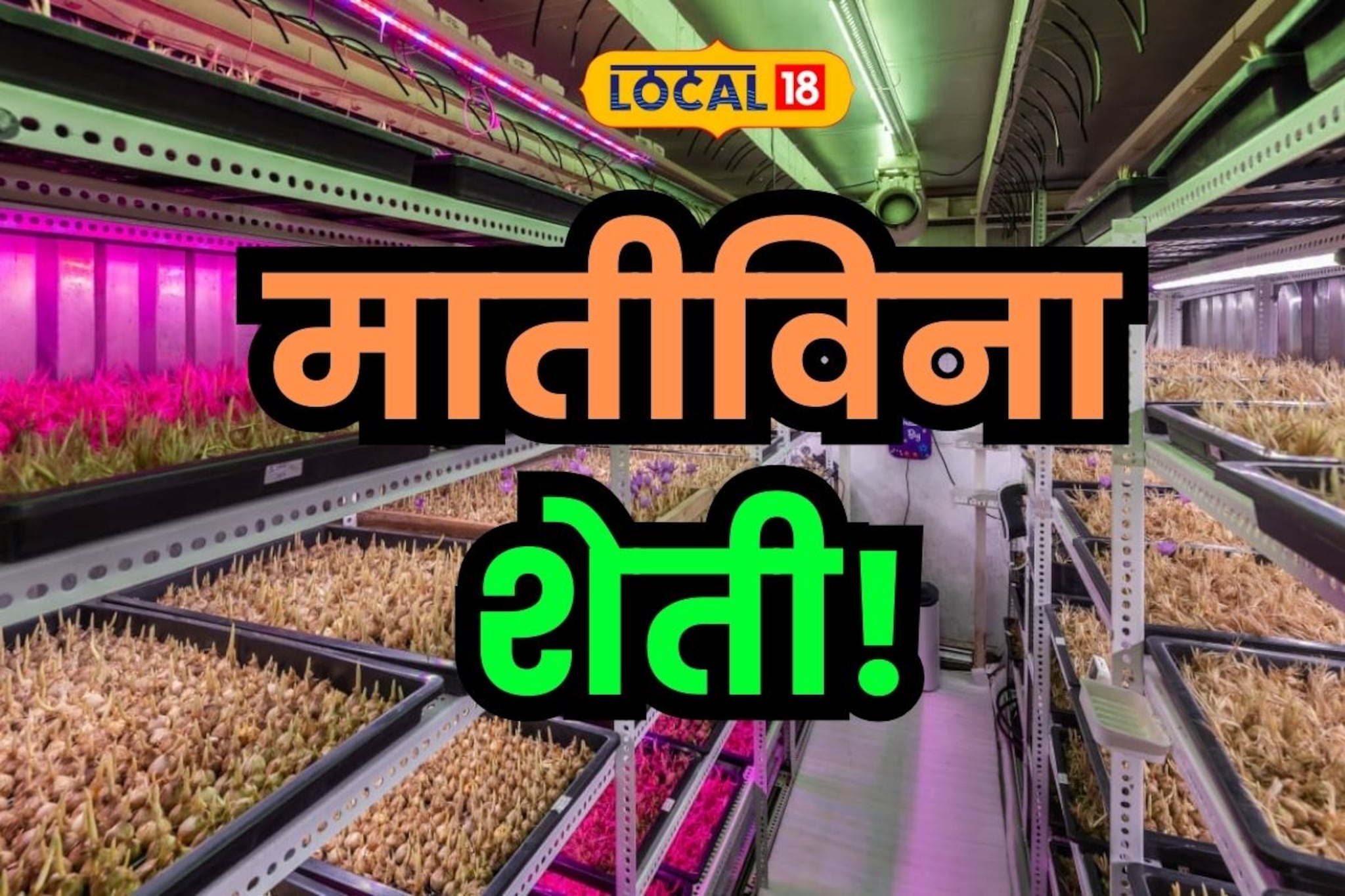 पुणेकर सॉफ्टवेअर इंजिनिअर बनला शेतकरी, चक्क माती विना करतोय शेती!