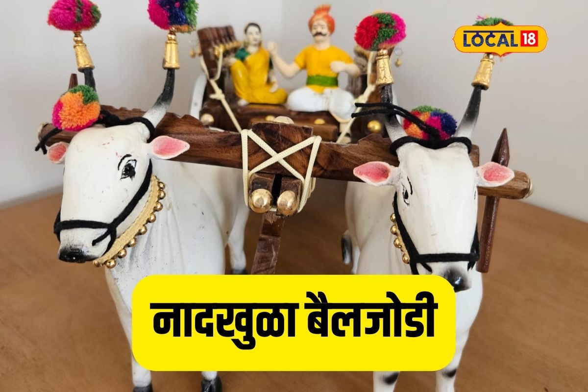 वडिलांनी नातवाला बनवून दिली बैलगाडी अन् आदिवासी महिला झाली उद्योजक