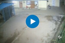 जनावरांवर हल्ला करणारा बिबट्या CCTV मध्ये कैद, Shocking Video समोर