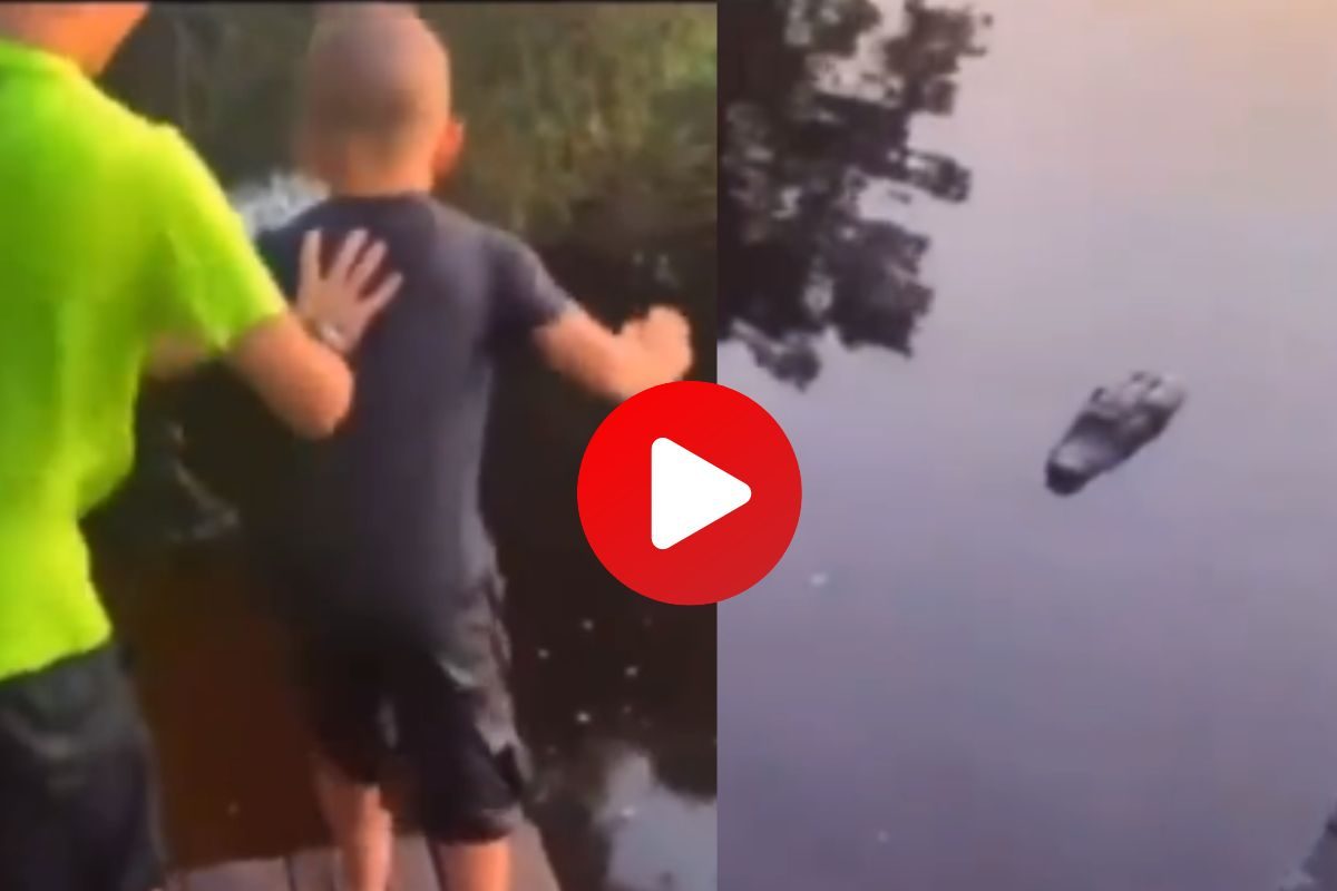 व्हायरल व्हिडीओ