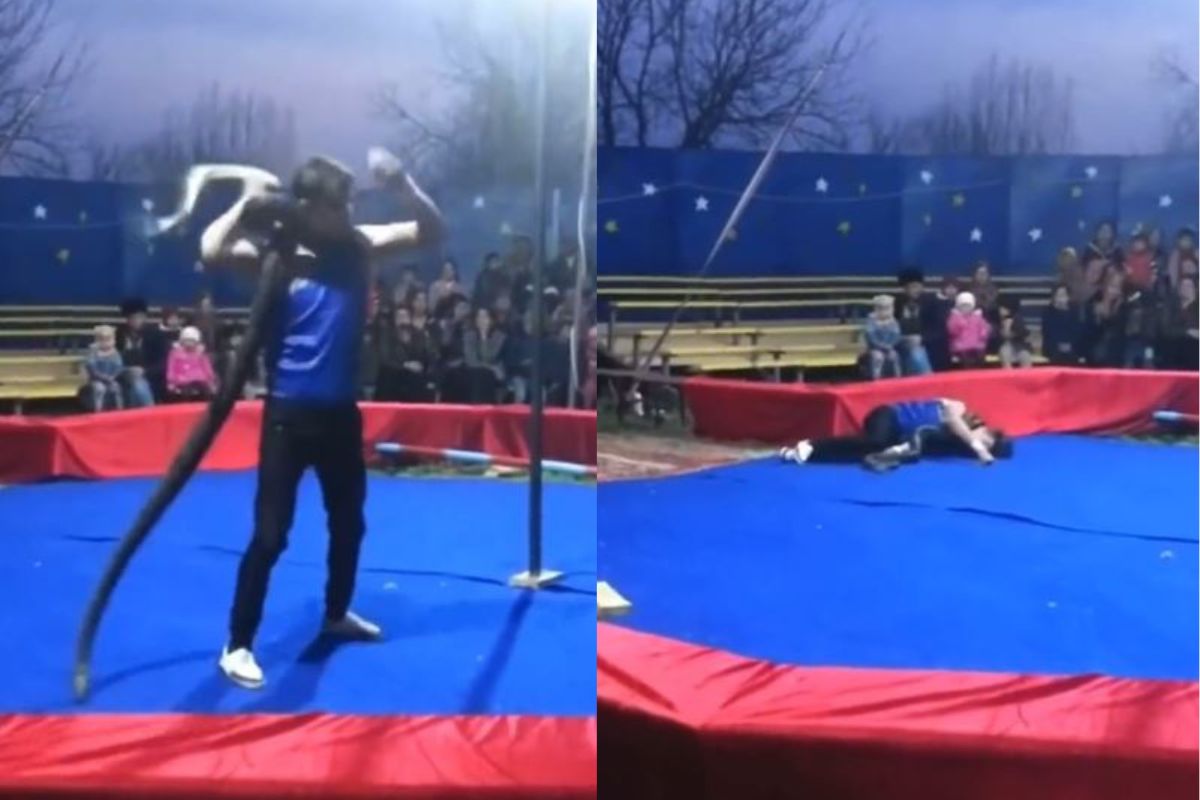 साप गळ्यात गुंडाळून स्टंट करणं भोवलं