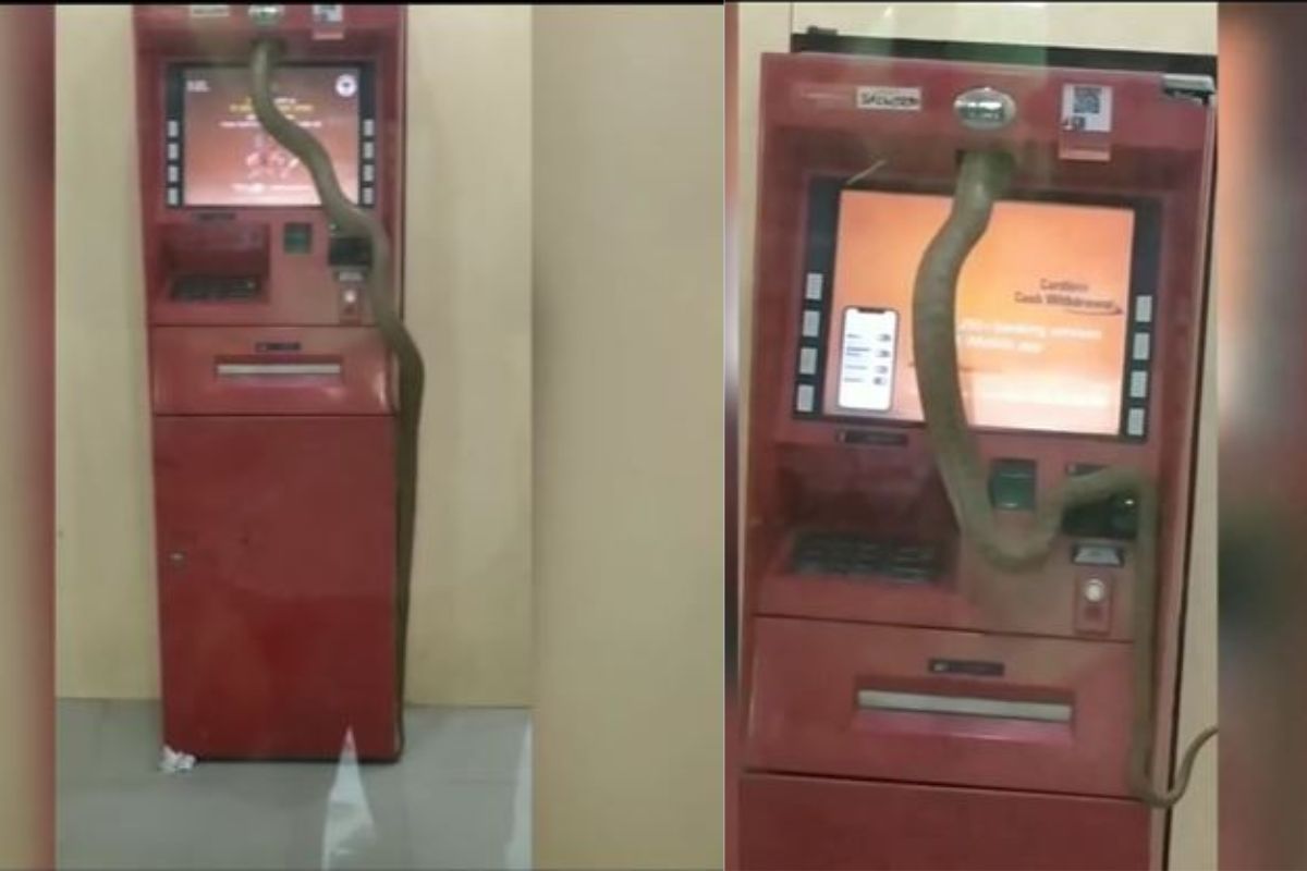 एटीएम मशीनमध्ये शिरला साप