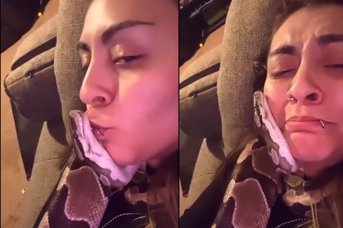 तरुणीने सापाला केलं किस