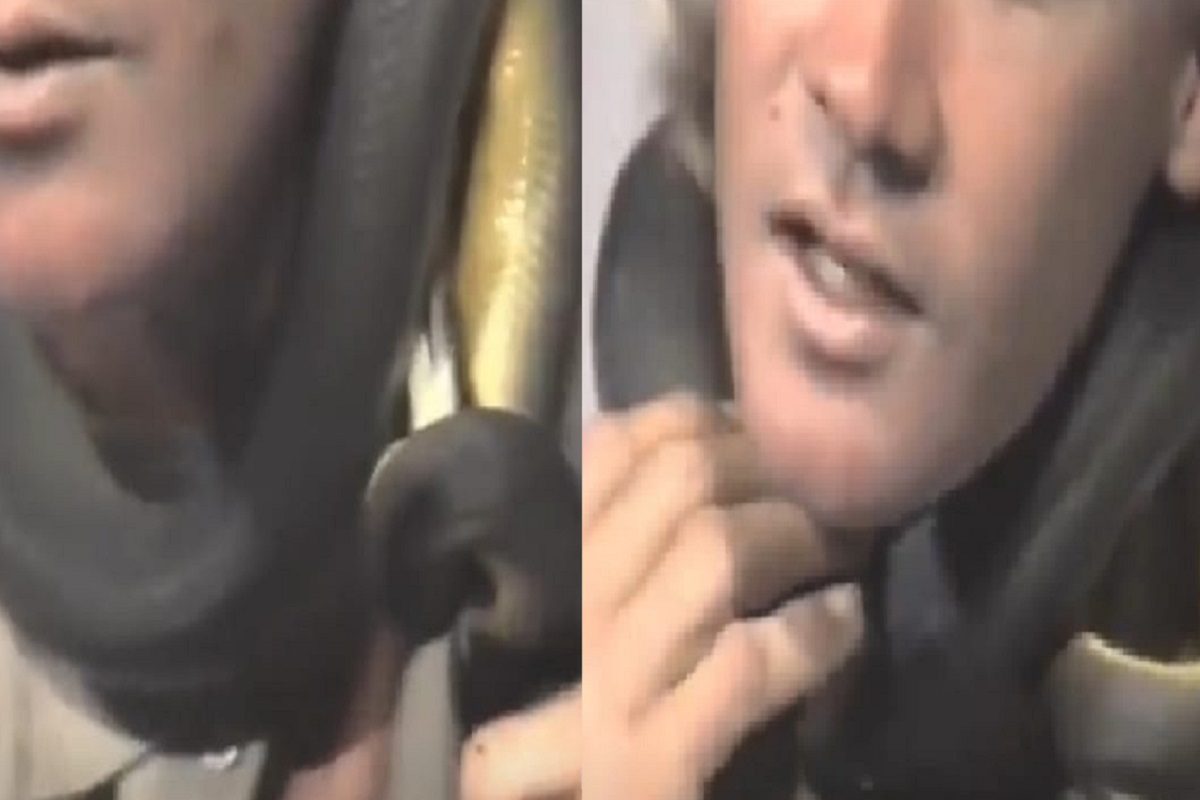 सापाचा हल्ला (फोटो - ट्विटर व्हिडीओ ग्रॅब)