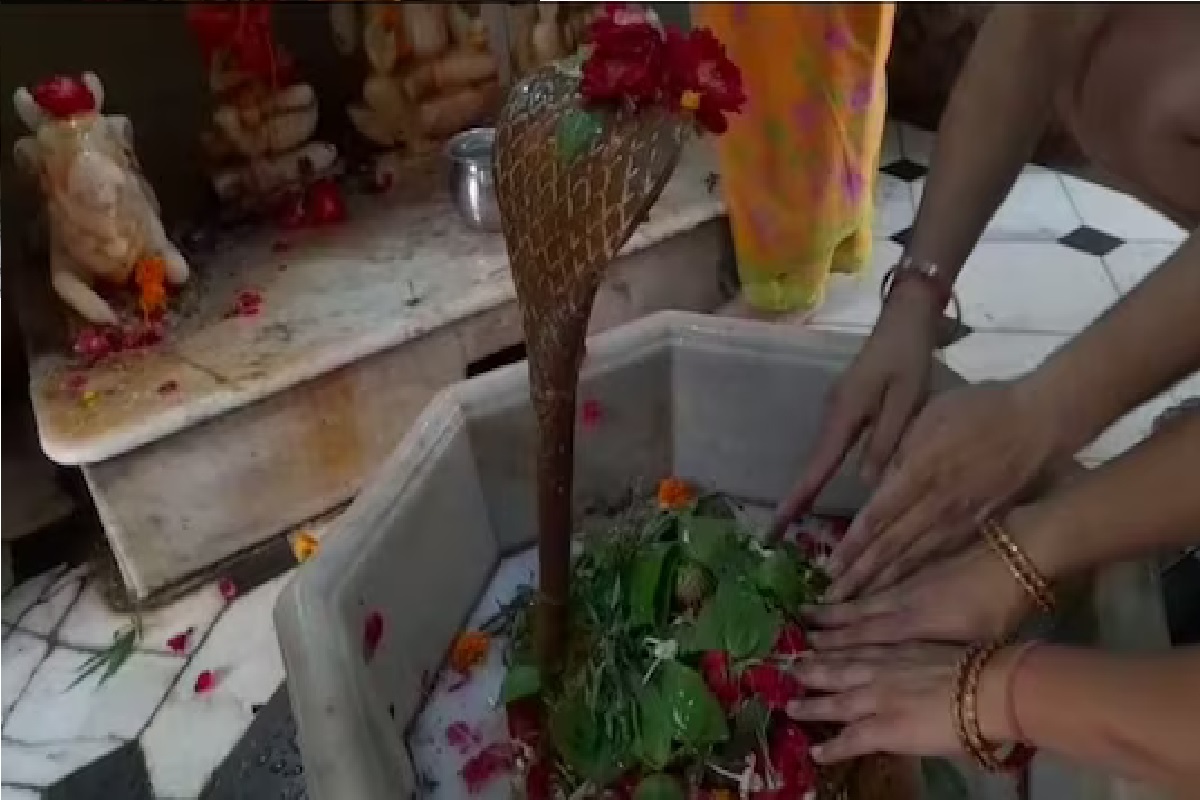 800 वर्ष जुन्या मंदिराची मणिधारी नाग करतो रक्षा, दर्शनासाठी लागते मोठी रांग