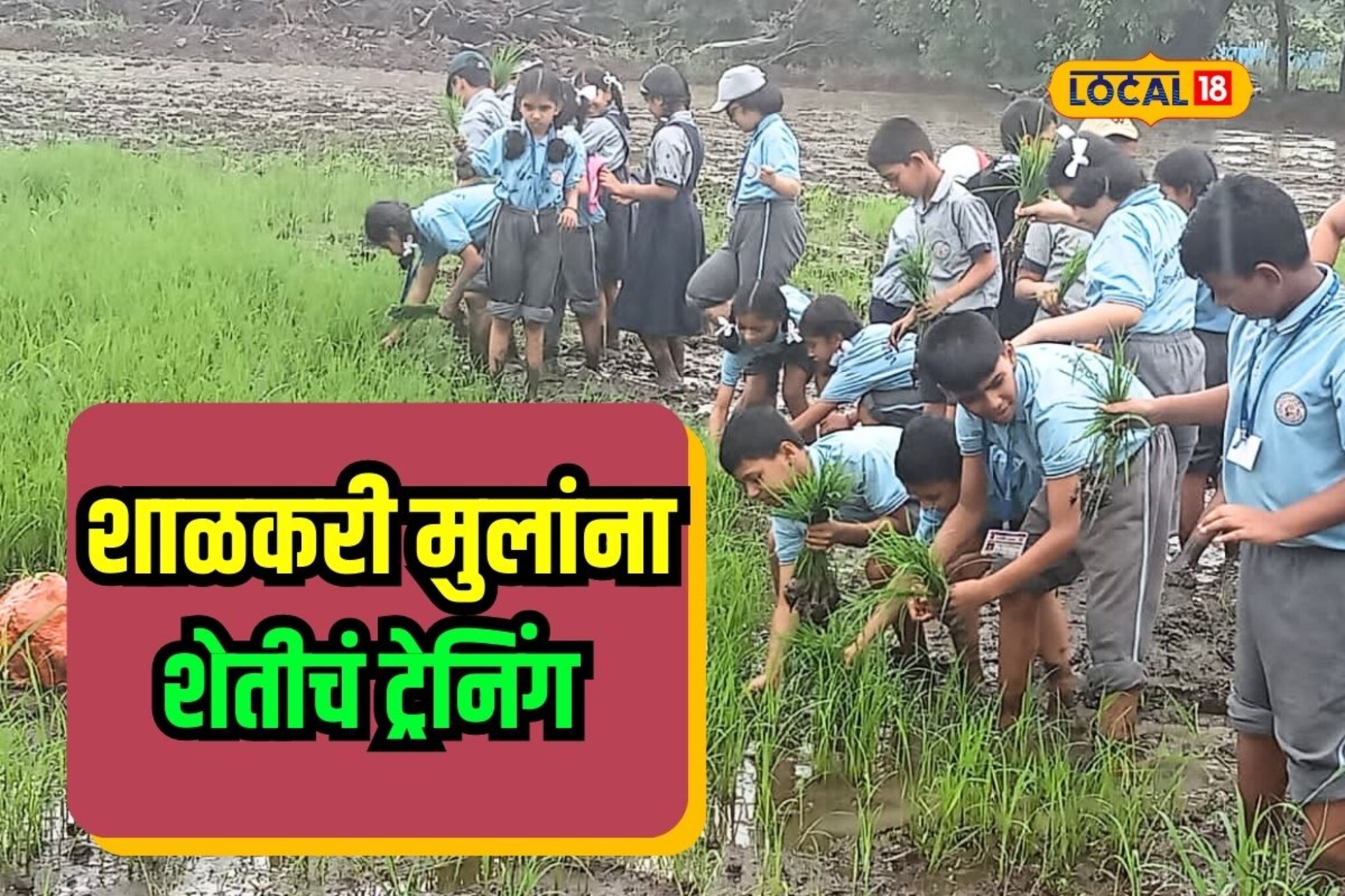 शहरातले विद्यार्थी जेव्हा शेतात जातात, भर पावसात तुडवला चिखल Video