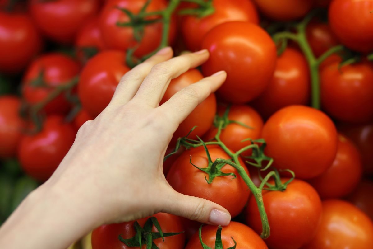 दुबईहून आणले टोमॅटो