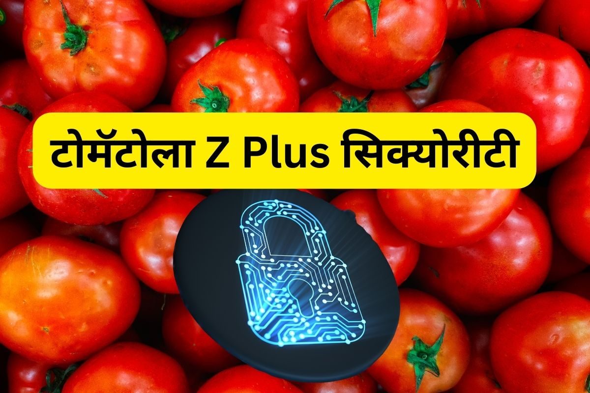 Video Viral : झेड प्लस सिक्योरिटी; आता तुम्ही टोमॅटो चोरुनच दाखवाच