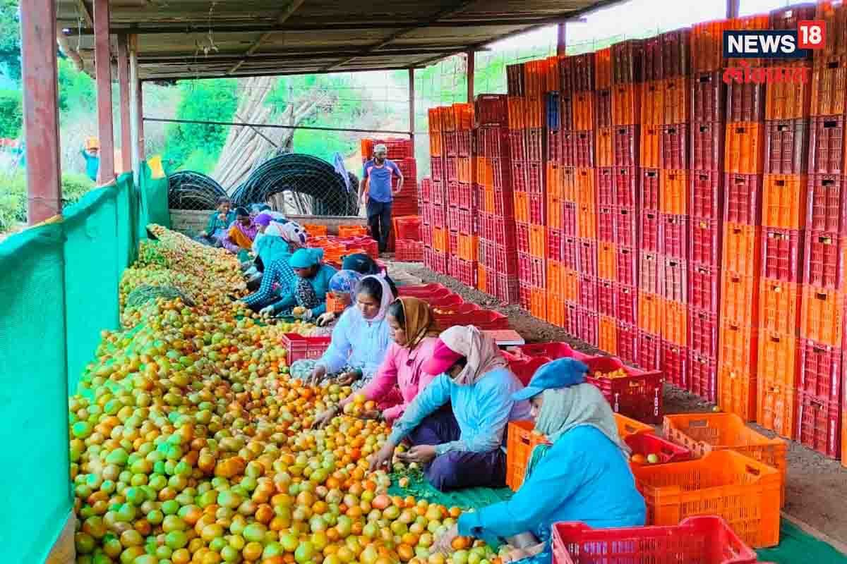 संग्रहित छायाचित्र