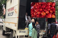 Tomato Price : टोमॅटोच्या किंमती कमी होईनात, सरकारनेच सुरू केली स्वस्तात विक्री