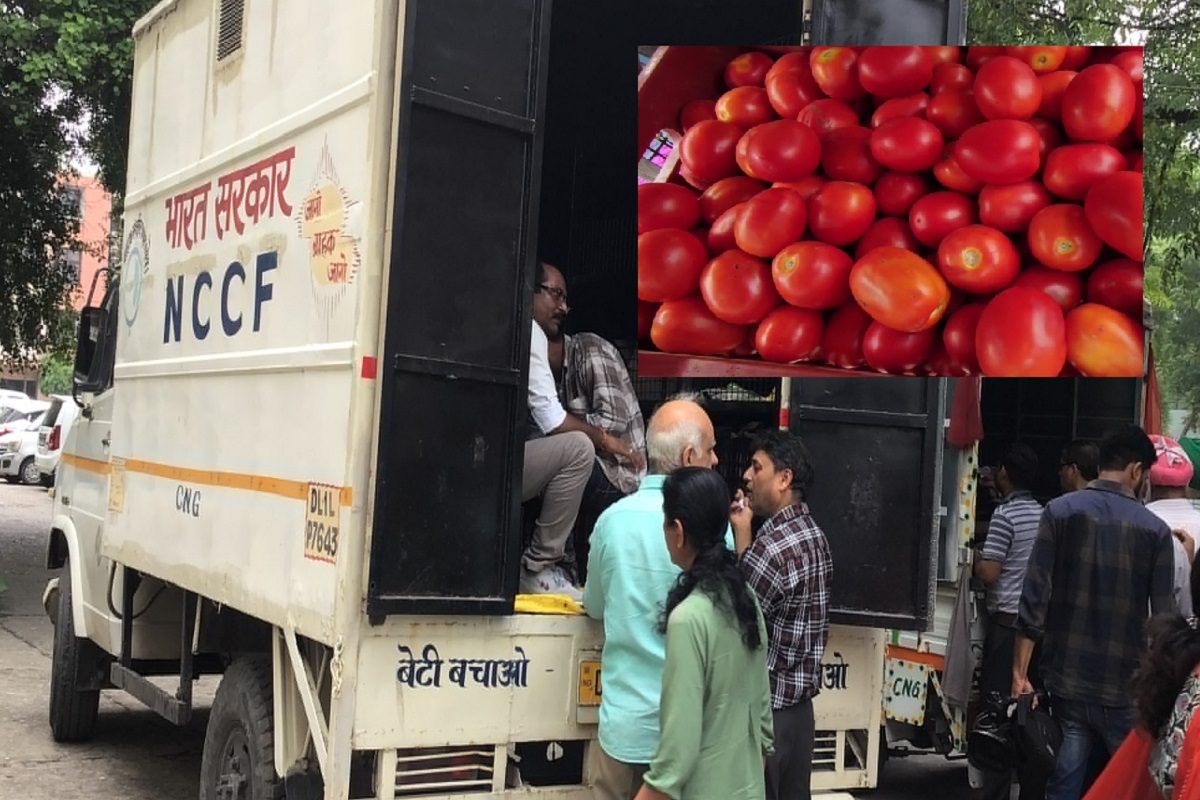 सरकारकडून टोमॅटोची विक्री