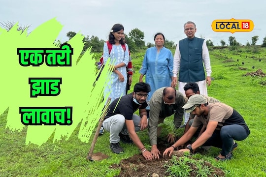 चला, एक झाडं लावूया! पण स्वस्तात रोपं मिळतील कुठे?

