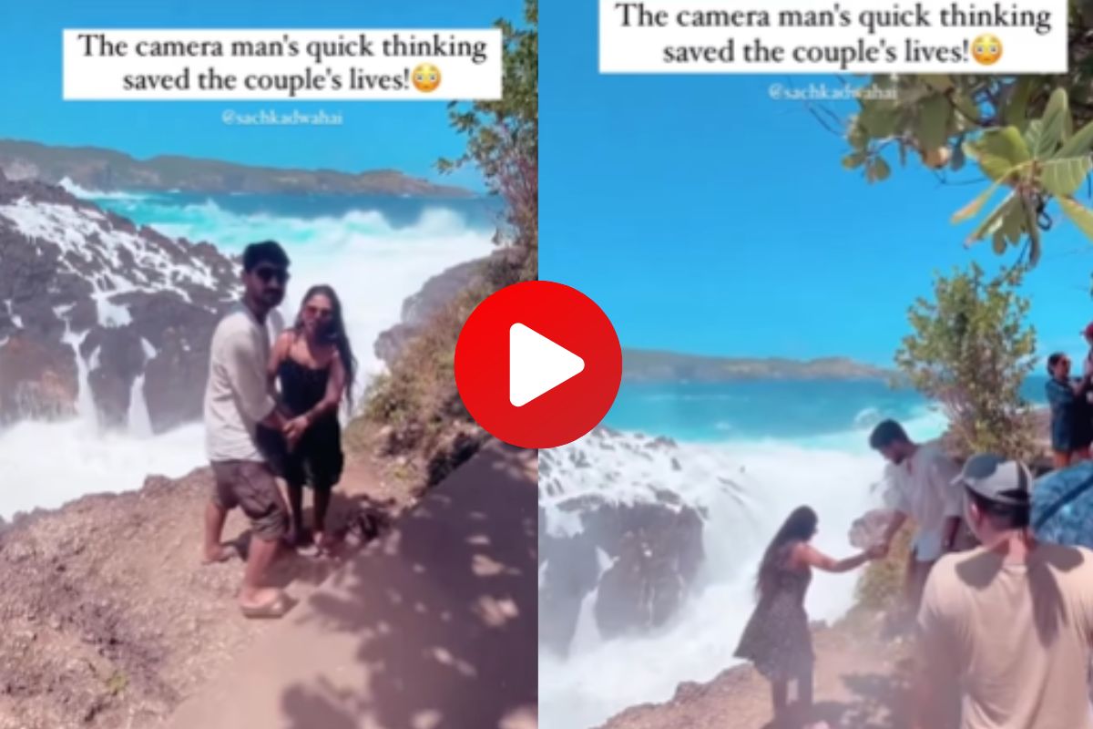 व्हायरल व्हिडीओ