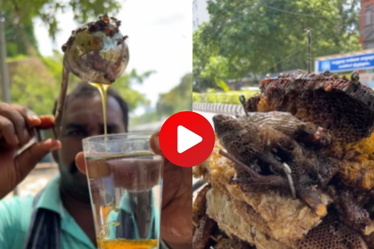 व्हायरल व्हिडीओ