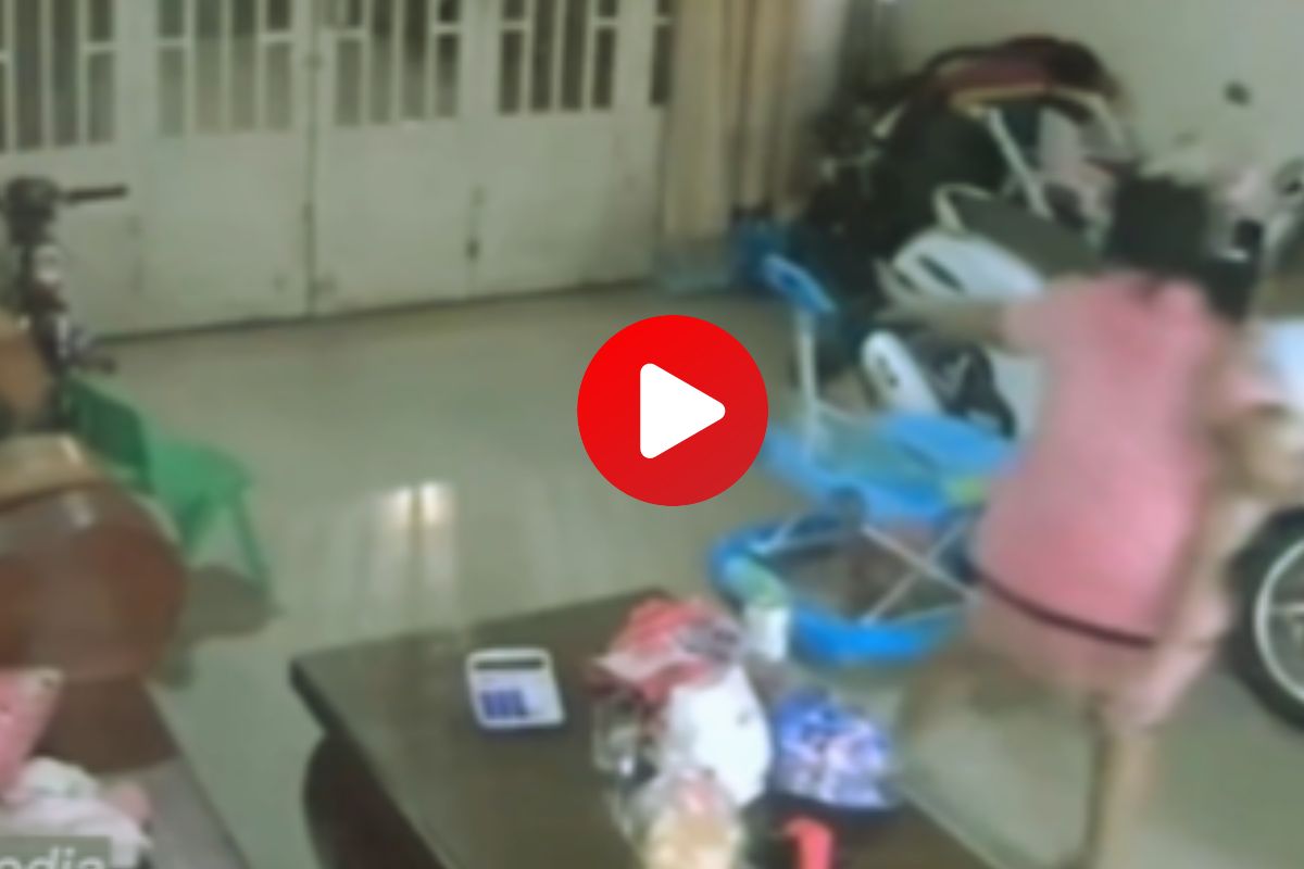 व्हायरल व्हिडीओ