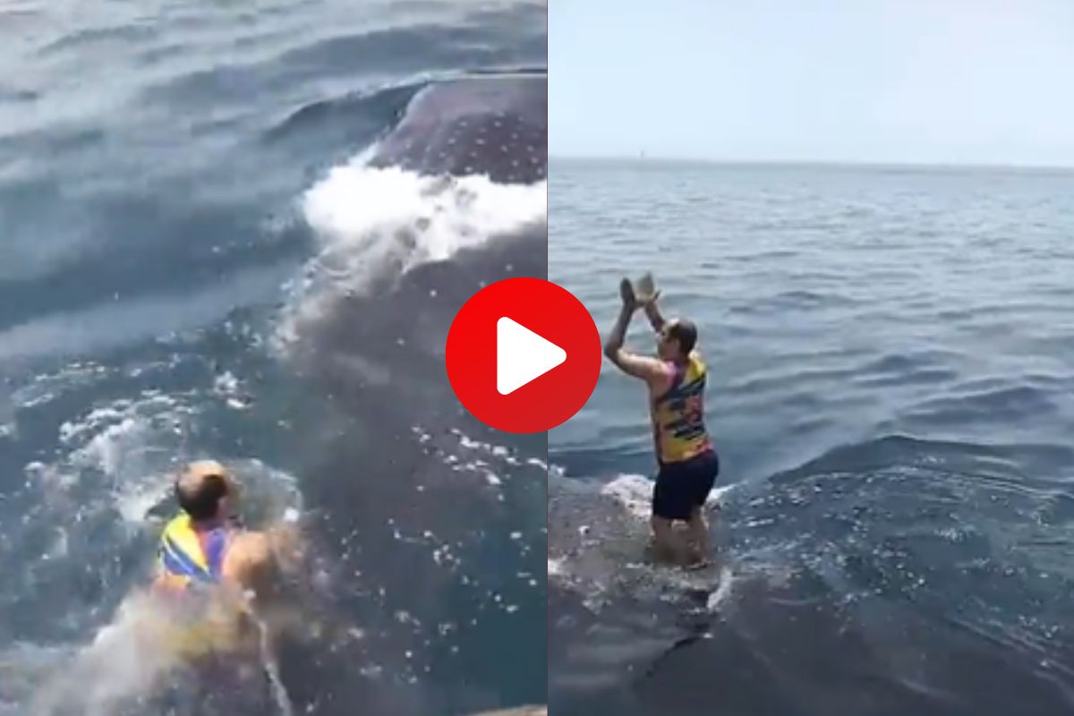 धक्कादायक व्हिडीओ समोर