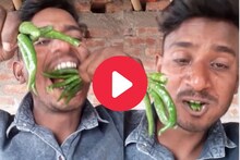 ...अन् व्यक्तीने कच्च्या हिरव्या मिरच्या कचाकचा चावल्या, Video पाहून फुटेल घाम