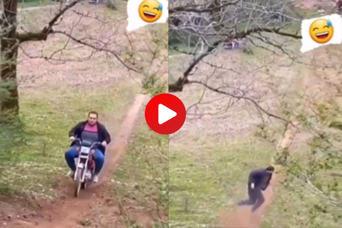 व्हायरल व्हिडीओ