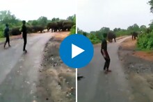 तरुणांचं संतापजनक कृत्य, हत्तीच्या कळपाला त्रास देताना Video व्हायरल